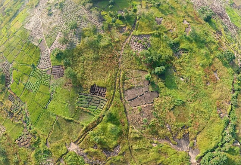 Agriculture verte, conservation et renforcement de la biodiversité